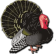 SK Družba Bukovany